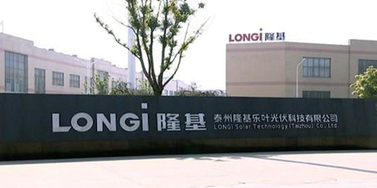 江蘇隆基樂葉光優